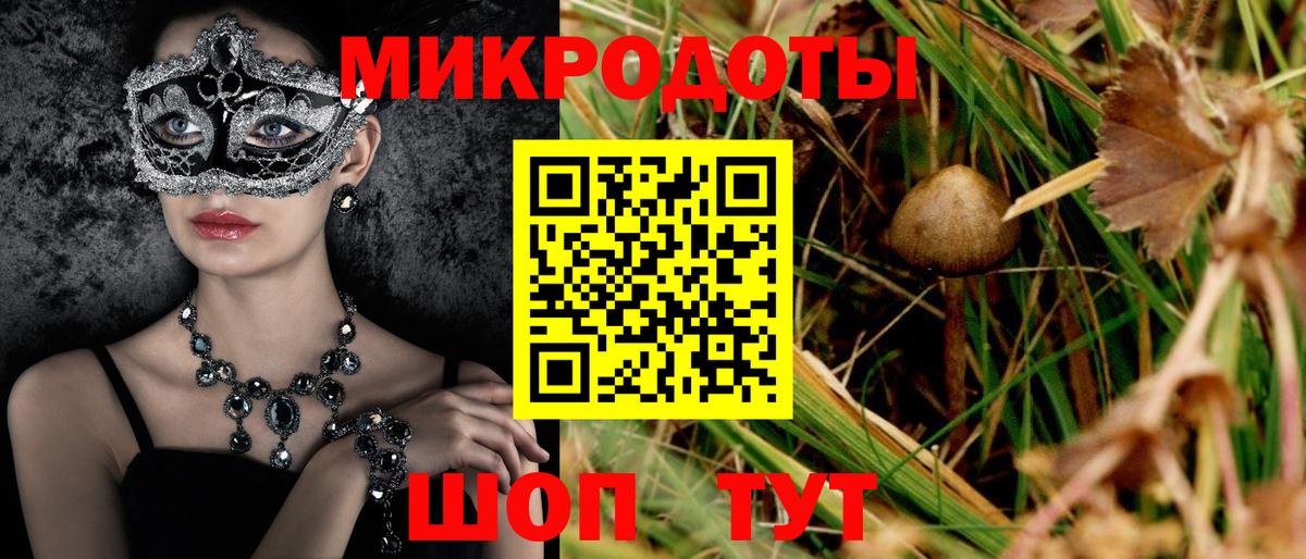 Псилоцибиновые грибы мицелий Анапа